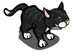 Black Cat