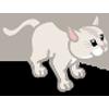 White Kitty