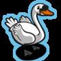Swan