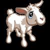 Lamb
