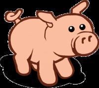 Pig