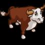Bull