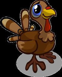 Baby Turkey