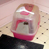 Kitty's Box