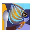 Angelfish