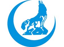 Bozkurt