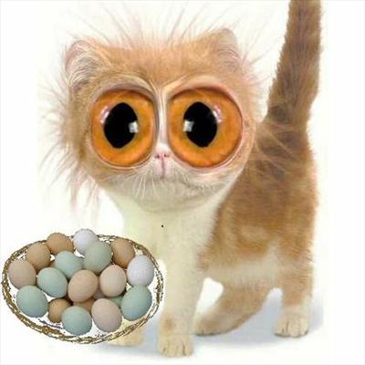 cuteeeee