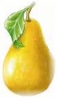 armut