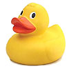 Big Yellow Duck
