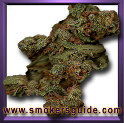 Happy Haze