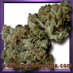 Sour Diesel