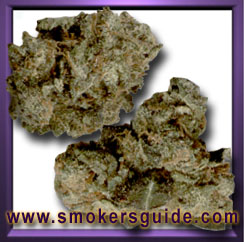 OG Kush
