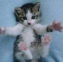 Big hug