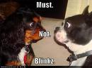 must not blink