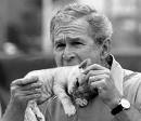 funny bush