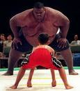 sumo