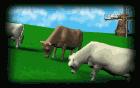 cow