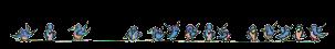 birds