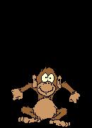monkey