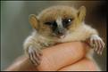 look its MORT!!