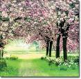 huzur 4