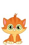 un chat