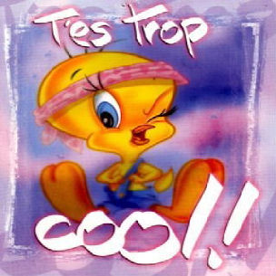 tu est cool