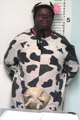 Cow Man