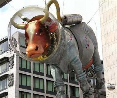 Space Cow