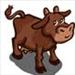brown cow