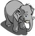 baby elephant
