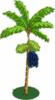 acia tree