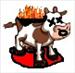 cow on fire