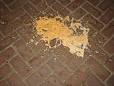 ne braai spaaw