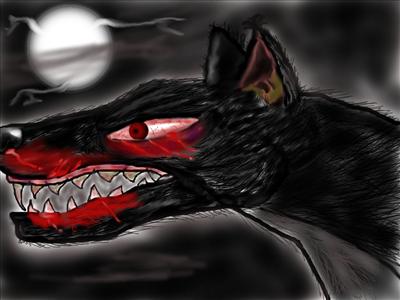 A Wolf
