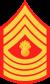 Master Gunnery Sergeant