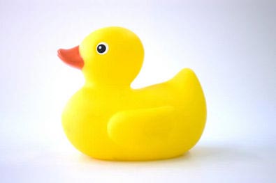 canard de bain
