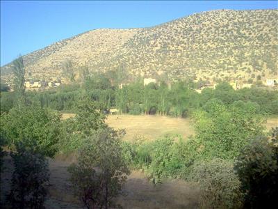 şansız 