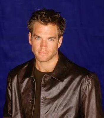 michael weatherly