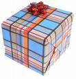 Surprise Gift (Sürpriz Hediye)