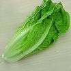 Romaine