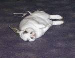 Nap