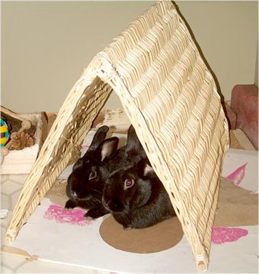 Wicker Tent