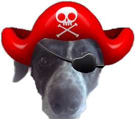 Pirate