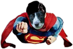 Hero