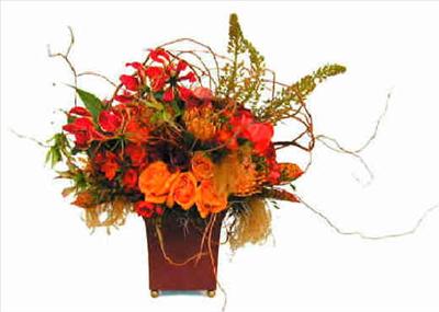 Flowers contempo designs