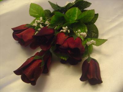 Burgundy rose