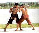 Muay Thai Elbow Slip