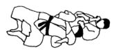 Reverse Triangle