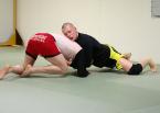 Wrestling Sprawl
